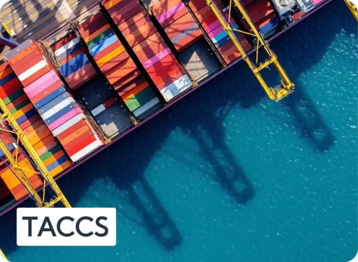 taccs-success-stories TACCS Success Stories